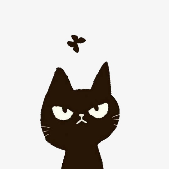 Meet your Posher, Ellen - Picture 3 of 6